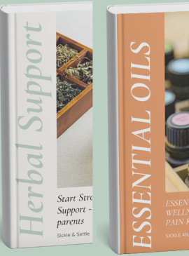 E-BOOK BUNDLE | ESSENTIAL OILS & HERBAL SUPPORT