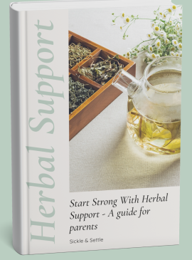 E-Book | HERBAL SUPPORT | Start Strong with Herbal Support: A Guide for Parents